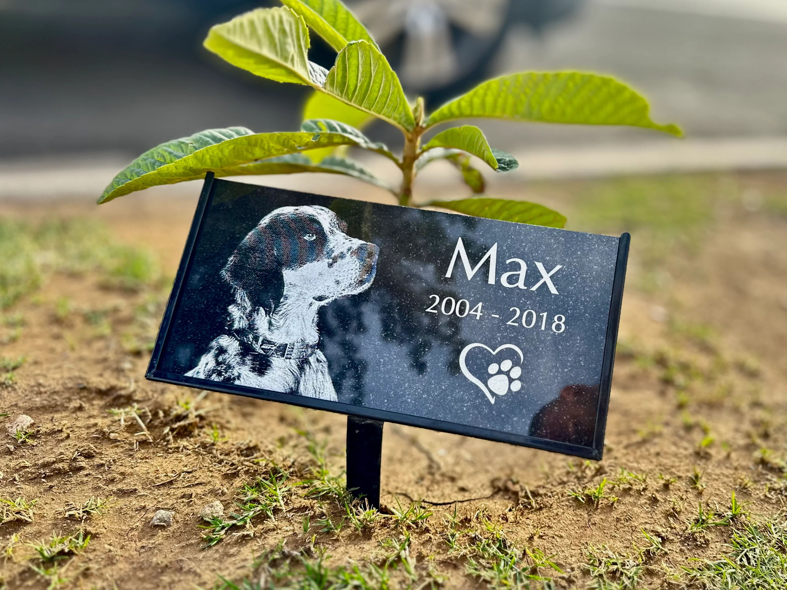 Outdoor Garden stake Simple Elegant Pet Memorial Plaque
